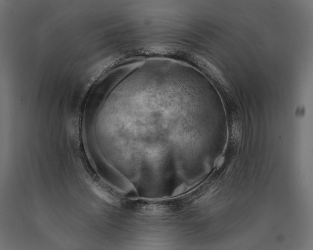 X0000090430444200708031133
