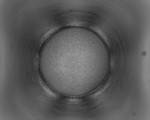 X0000090430445200708031133
