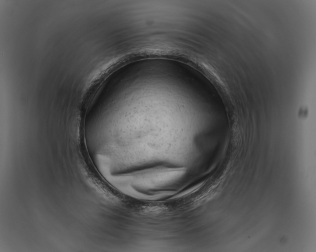 X0000090430446200708031133