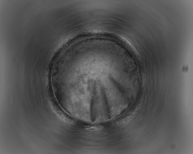 X0000090430447200708031133