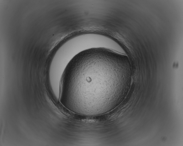 X0000090430448200708031133