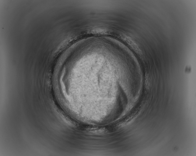 X0000090430449200708031133