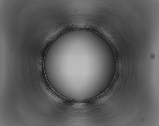 X0000090430450200708031133