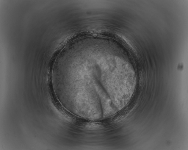 X0000090430451200708031133