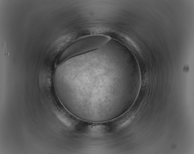 X0000090430452200708031133