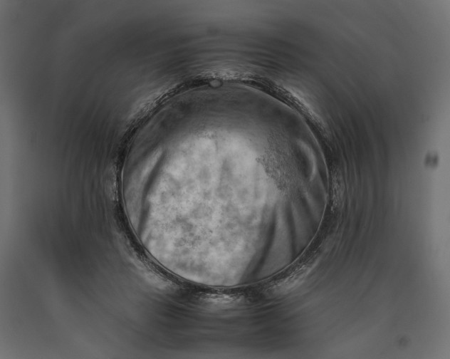 X0000090430453200708031133