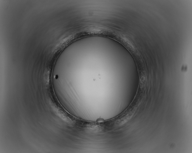 X0000090430454200708031133