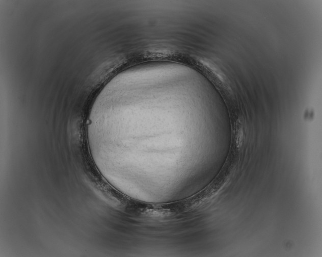 X0000090430455200708031133