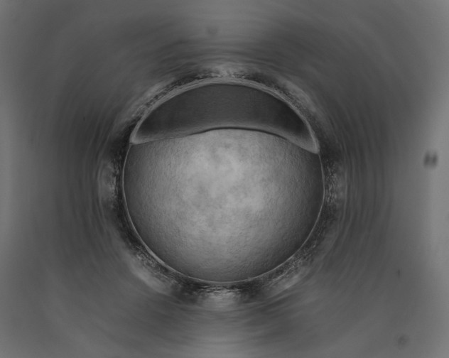 X0000090430456200708031133