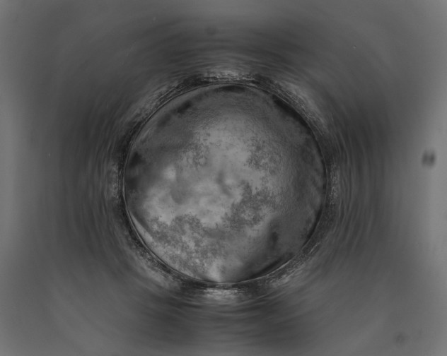 X0000090430457200708031133