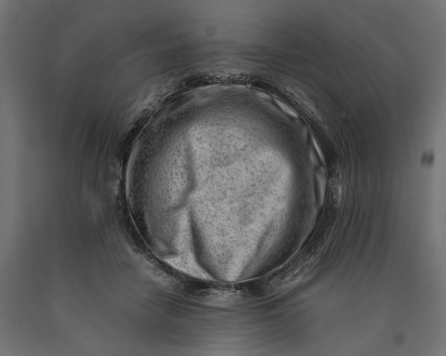 X0000090430458200708031133