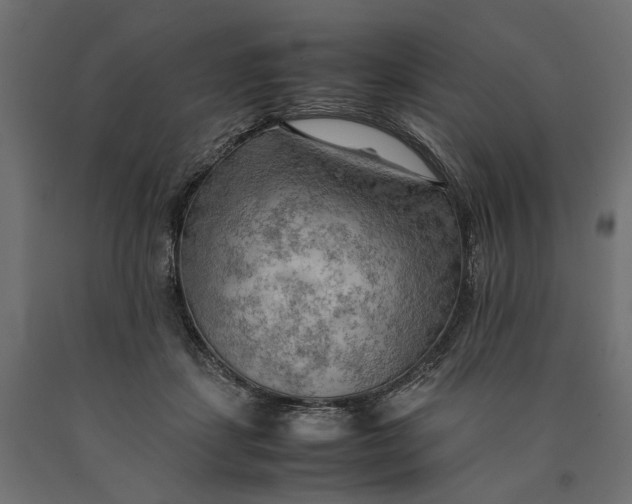 X0000090430459200708031133