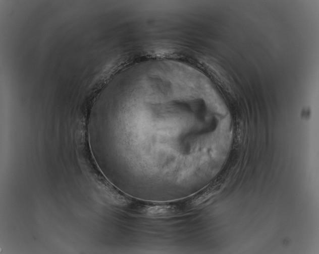 X0000090430461200708031133