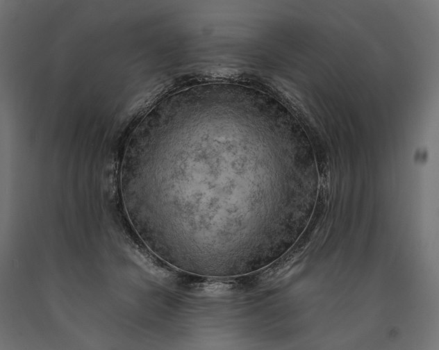 X0000090430462200708031133