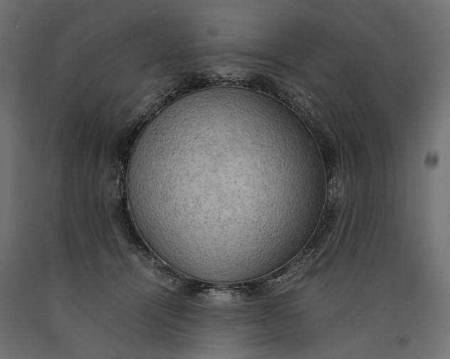 X0000090430464200708031134