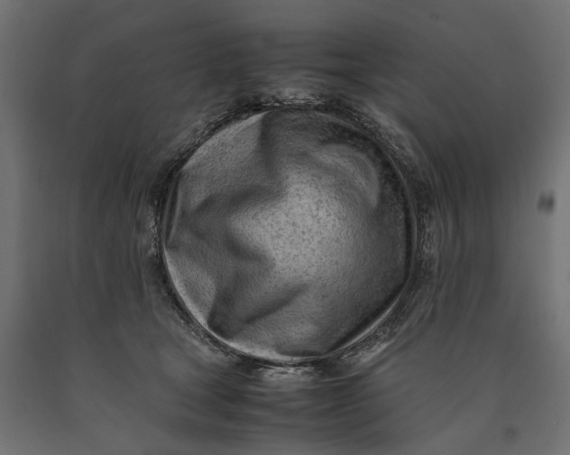 X0000090430465200708031134