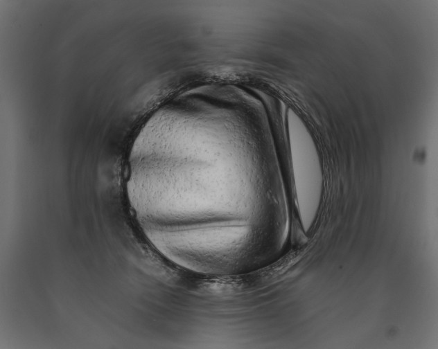 X0000090430466200708031134