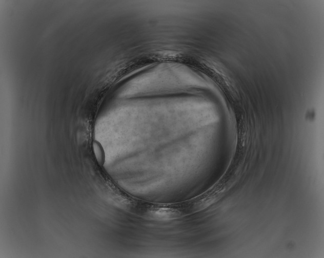 X0000090430467200708031134