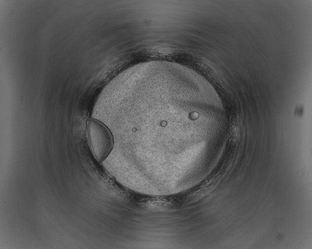 X0000090430468200708031134