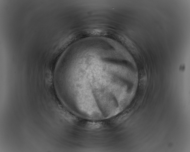 X0000090430469200708031134