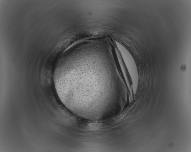 X0000090430470200708031134