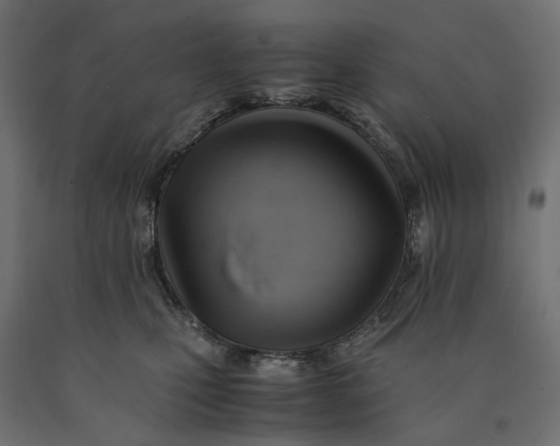 X0000090430471200708031134