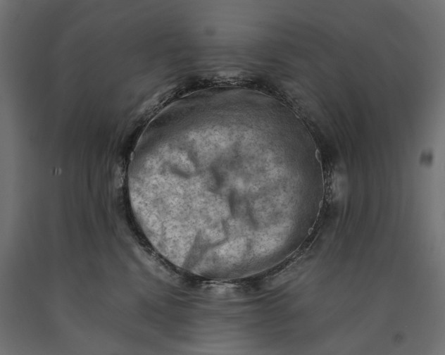 X0000090430472200708031134