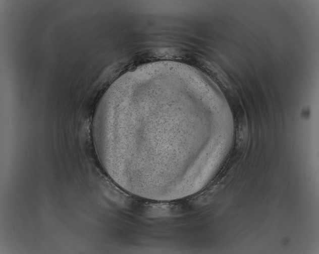 X0000090430473200708031134