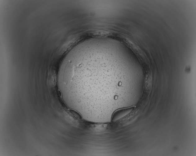 X0000090430474200708031134