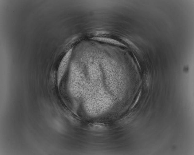 X0000090430475200708031134