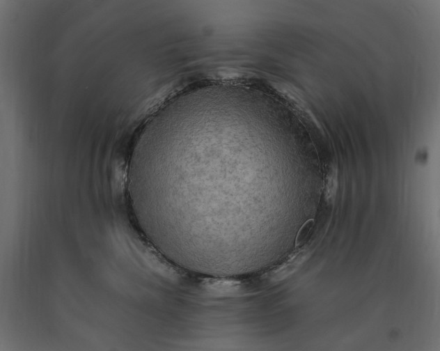 X0000090430476200708031134