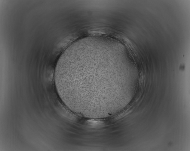 X0000090430477200708031134