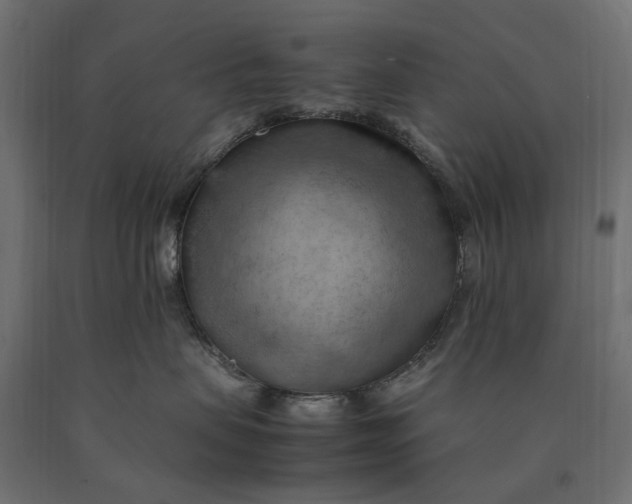 X0000090430479200708031134