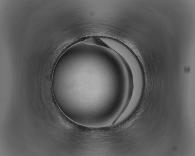 X0000090430481200708031133