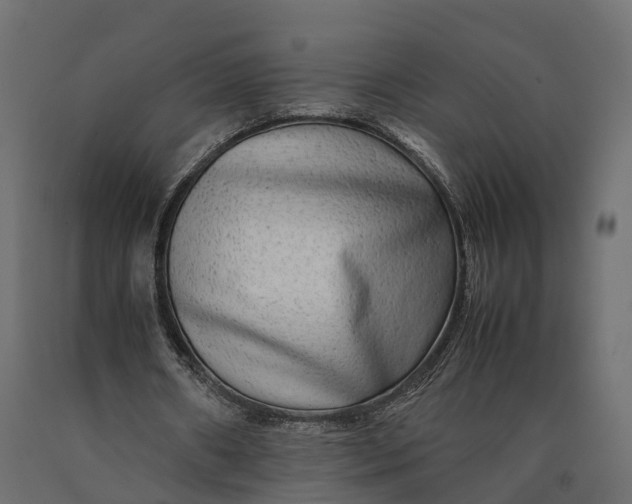 X0000090430482200708031133