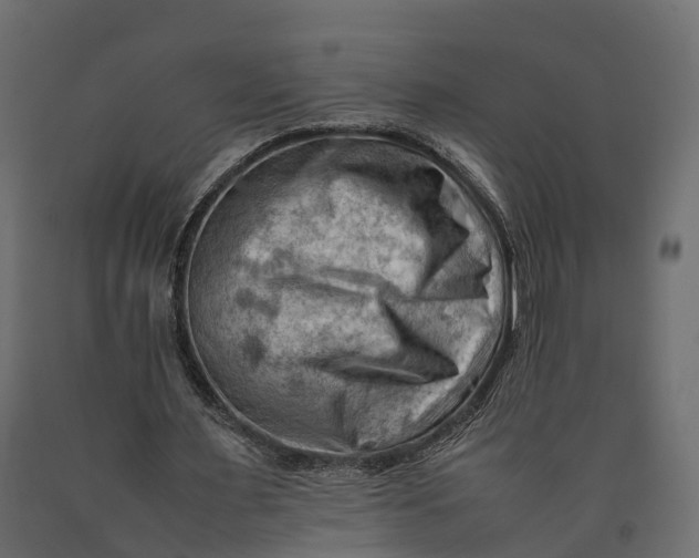 X0000090430483200708031133