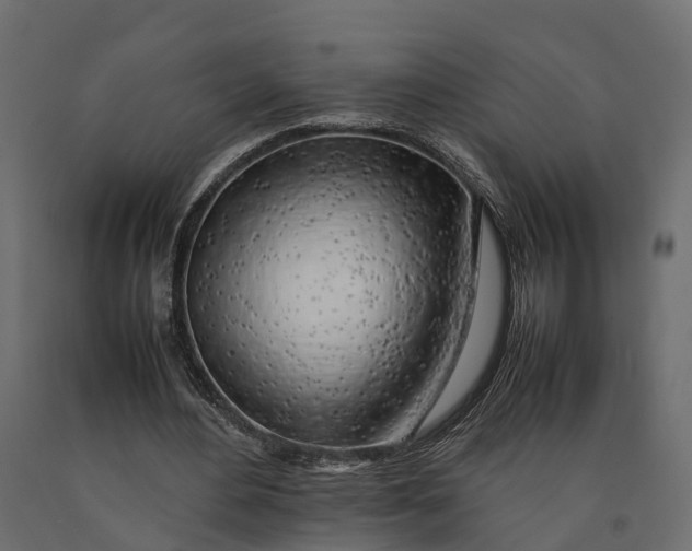 X0000090430484200708031133