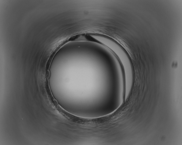 X0000090430485200708031133