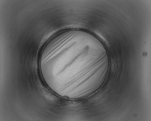 X0000090430486200708031133