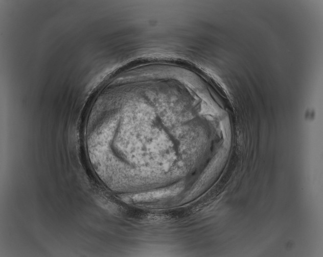 X0000090430487200708031133