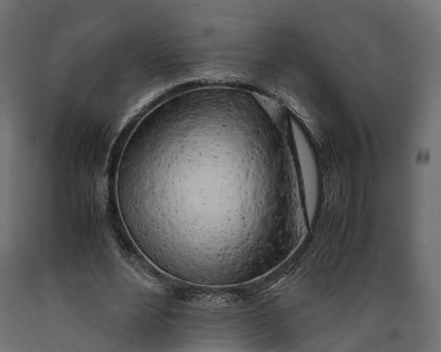 X0000090430488200708031133