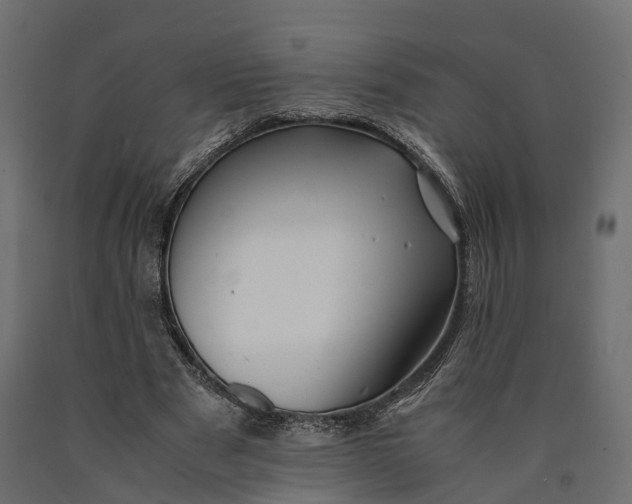X0000090430489200708031133