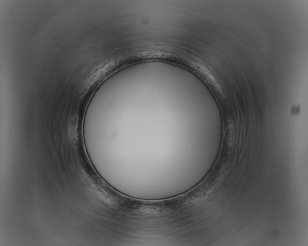 X0000090430490200708031133