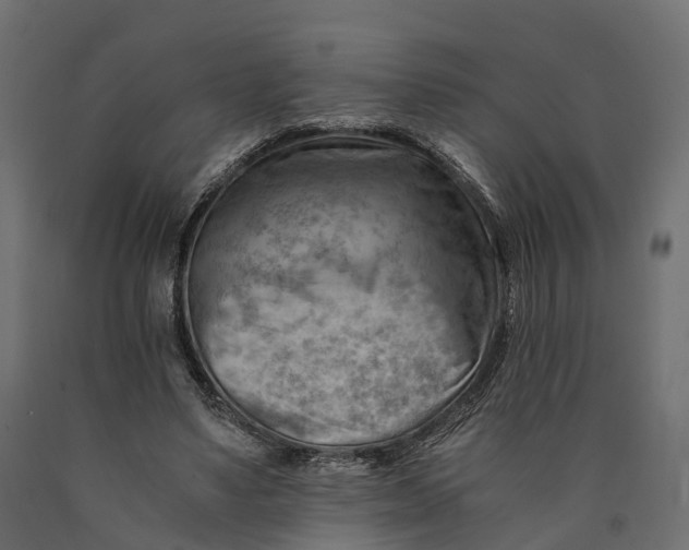 X0000090430491200708031133