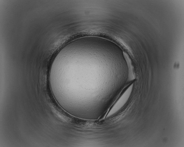 X0000090430493200708031133