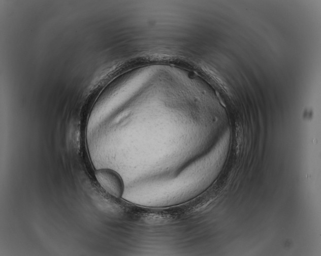 X0000090430494200708031133