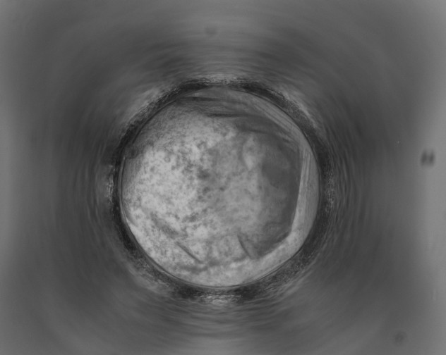 X0000090430495200708031133