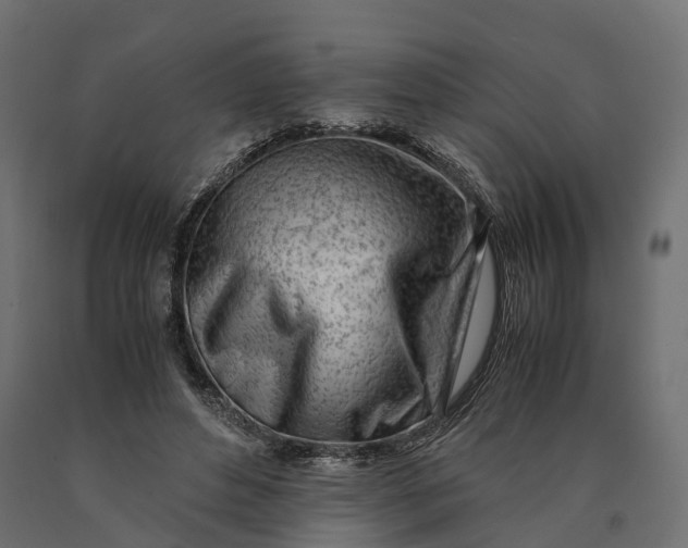 X0000090430496200708031133