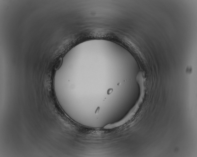 X0000090430497200708031133