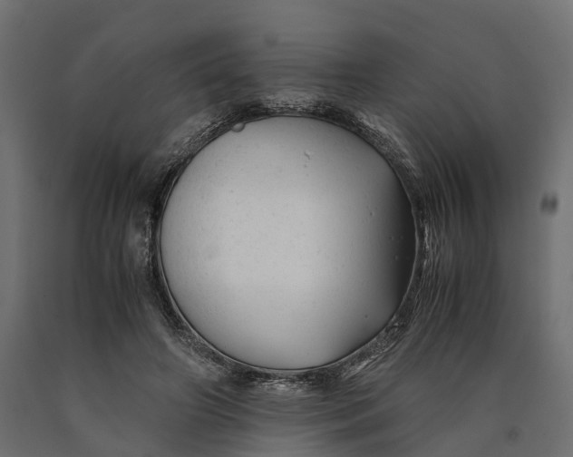 X0000090430498200708031133